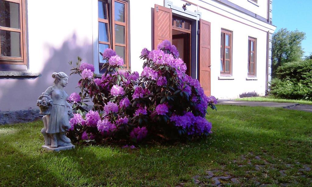 Hotel Castle Mlyn Maderovka Sepekov Exterior foto